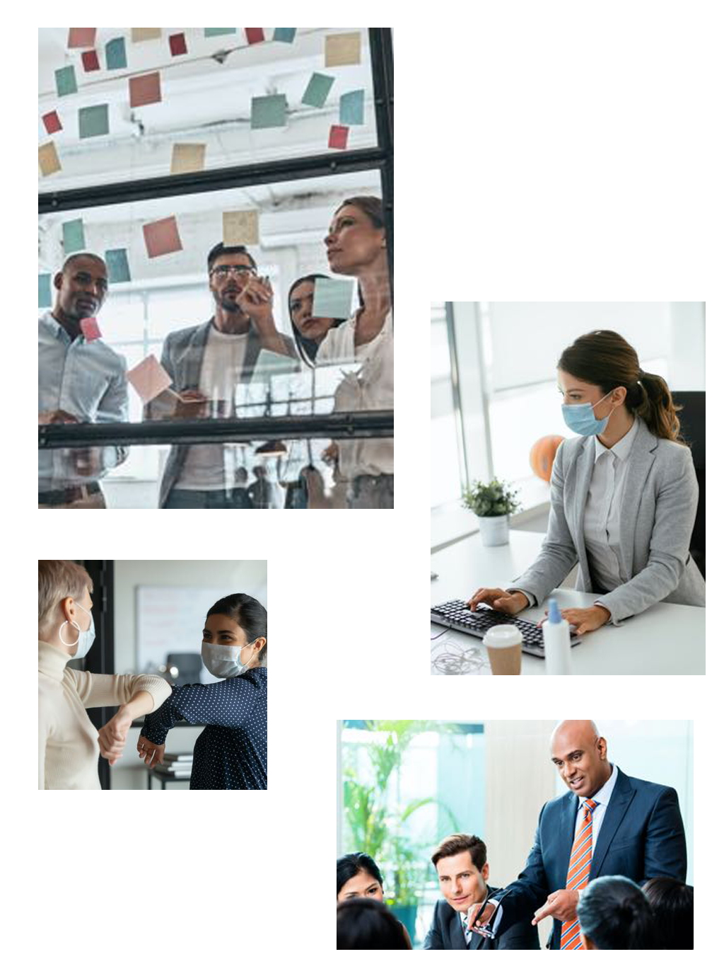 Business Services